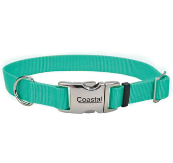 61601 ADJ DOG COLLAR WITH METAL BUCKLE NYLON 14 - 20 IN X 3/4 IN TEAL