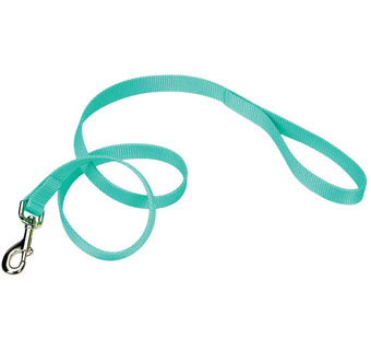 00606 SINGLE-PLY DOG LEASH NYLON 3/4 IN X 6 FT TEAL