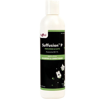 PIVETAL® SUFFUSION™ P SHAMPOO & CONDITIONER 8 OZ 1/PKG