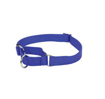 NO! SLIP® 06907 MARTINGALE DOG COLLAR NYLON 17 - 24 IN X 1 IN BLUE