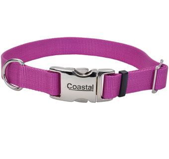 61601 ADJ DOG COLLAR WITH METAL BUCKLE NYLON 14 - 20 IN X 3/4 IN ORCHID