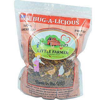 LITTLE FARMER BUG-A-LICIOUS CHICKEN TREAT 3 LB 1/PKG