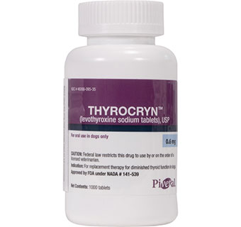 THYROCRYN™ (LEVOTHYROXINE SODIUM TABLETS) USP 0.6 MG 1000/BOTTLE (RX)