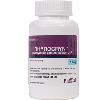THYROCRYN™ (LEVOTHYROXINE SODIUM TABLETS) USP 0.8 MG 1000/BOTTLE (RX)