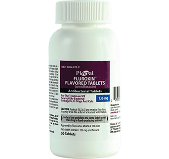 PIVETAL® FLUROXIN™ (ENROFLOXACIN) FLAVORED TABLETS 136 MG 50/BOTTLE (RX)