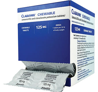 CLAVAMOX® CHEWABLE TABLETS 125 MG 112/PKG (RX)