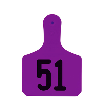 Y-TAGS™ 1-PIECE CALF PURPLE LASER NUMBERED 51-75 25/PKG