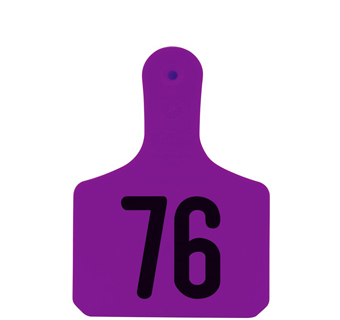 Y-TAGS™ 1-PIECE CALF PURPLE LASER NUMBERED 76-100 25/PKG