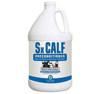 SX CALF PRECONDITIONER ORAL SUPPL GAL