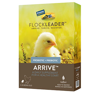 FLOCKLEADER® ARRIVE™ POULTRY SUPPLEMENT 8 OZ 1/PKG