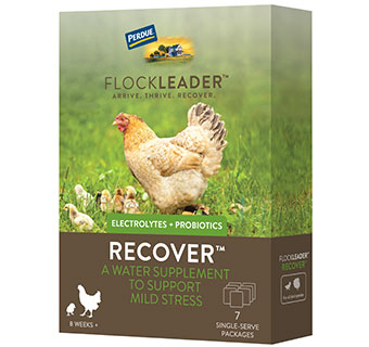 FLOCKLEADER™ RECOVER™ POULTRY SUPPLEMENT 1.23 OZ 1/PKG