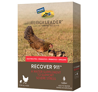 FLOCKLEADER™ RECOVER 911™ POULTRY SUPPLEMENT 8 OZ 1/PKG
