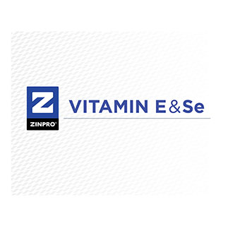 ZINPRO® VITAMIN E & SE GALLON 1/PKG