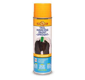 TAIL MARKING PAINT UPRIGHT FLUORESCENT ORANGE 15 OZ 1/PKG