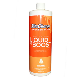 VITA CHARGE® LIQUID BOOST® 32 FL OZ BOTTLE 1/PKG