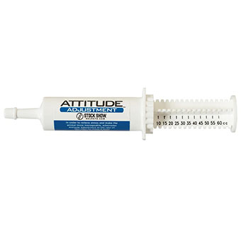 STOCK SHOW SECRETS ATTITUDE ADJUSTMENT PASTE 60 CC 1/PKG