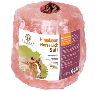 HORSE LICKS HIMALAYAN ROCK SALT W/ROPE 6.6 LB 1/PKG