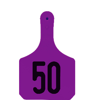 Y-TAG ONE-PIECE COW EAR TAG PURPLE  PRENUMBERED 26-50 25/PKG