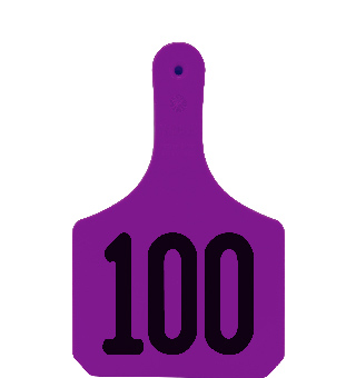 Y-TAG ONE-PIECE COW EAR TAG PURPLE PRENUMBERED 76-100 25/PKG