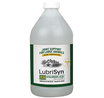 LUBRISYN HA JOINT CARE PLUS MSM LARGE ANIMAL LIQUID 64 OZ W/PUMP 1/PKG