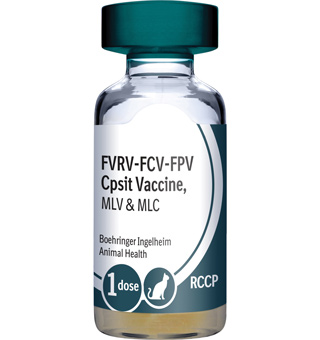 PUREVAX FELINE 4 (RCCP) 0.5ML 25X1DS (SOLD IN HAWAII ONLY)