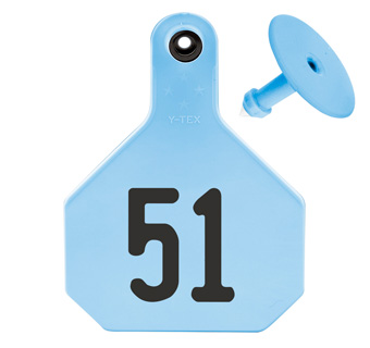 ALL-AMERICAN® LARGE 2-PIECE 4-STAR EAR TAG LASER 51-75 BLUE 25/PKG
