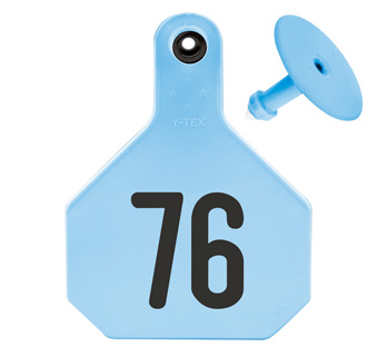 ALL-AMERICAN® LARGE 2-PIECE 4-STAR EAR TAG LASER 76-100 BLUE 25/PKG