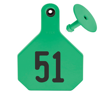 ALL-AMERICAN® LARGE 2-PIECE 4-STAR EAR TAG LASER 51-75 GREEN 25/PKG