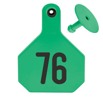 ALL-AMERICAN® LARGE 2-PIECE 4-STAR EAR TAG LASER 76-100 GREEN 25/PKG