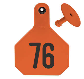 ALL-AMERICAN® LARGE 2-PIECE 4-STAR EAR TAG LASER 76-100 ORANGE 25/PKG