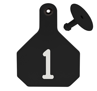 ALL-AMERICAN® LARGE 2-PIECE 4-STAR EAR TAG LASER 1-25 BLACK 25/PKG