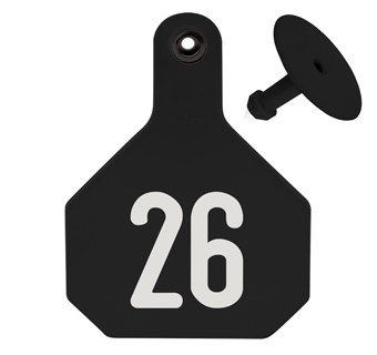 ALL-AMERICAN® LARGE 2-PIECE 4-STAR EAR TAG LASER 26-50 BLACK 25/PKG