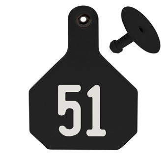 ALL-AMERICAN® LARGE 2-PIECE 4-STAR EAR TAG LASER 51-75 BLACK 25/PKG