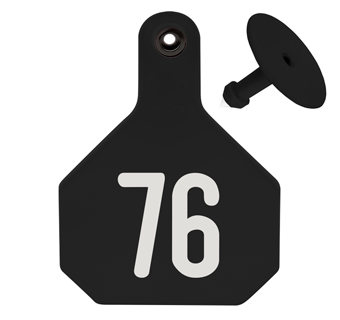 ALL-AMERICAN® LARGE 2-PIECE 4-STAR EAR TAG LASER 76-100 BLACK 25/PKG