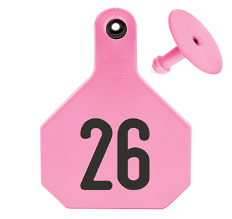 ALL-AMERICAN® LARGE 2-PIECE 4-STAR EAR TAG LASER 26-50 HOT PINK 25/PKG