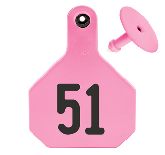 ALL-AMERICAN® LARGE 2-PIECE 4-STAR EAR TAG LASER 51-75 HOT PINK 25/PKG
