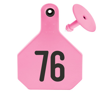 ALL-AMERICAN® LARGE 2-PIECE 4-STAR EAR TAG LASER 76-100 HOT PINK 25/PKG
