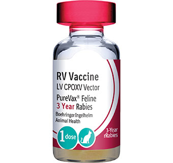 PUREVAX® FELINE RABIES (3 YEAR) 25 X 1 DOSE (0.5 ML) (SOLD IN HAWAII ONLY)