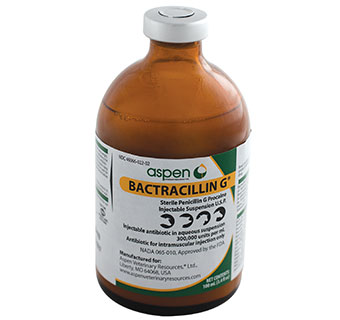BACTRACILLIN G® INJECTABLE SUSPENSION U.S.P. 100 ML 1/PKG (RX)