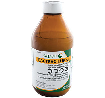 BACTRACILLIN G® INJECTABLE SUSPENSION U.S.P. 250 ML 1/PKG (RX)