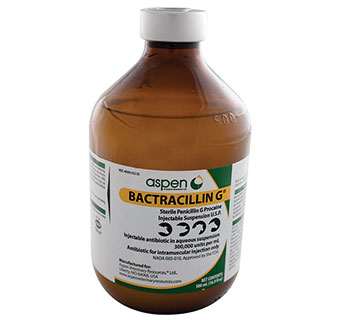 BACTRACILLIN G® INJECTABLE SUSPENSION U.S.P. 500 ML 1/PKG (RX)