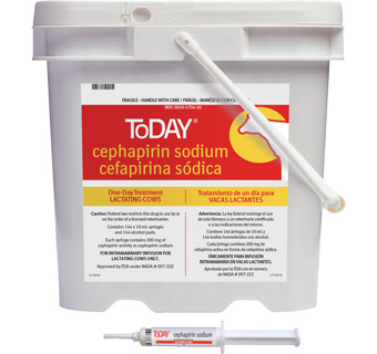 TODAY® (CEPHAPIRIN SODIUM) LACTATING COW MASTITIS TRTMNT 200 MG/10 ML 144/PKG