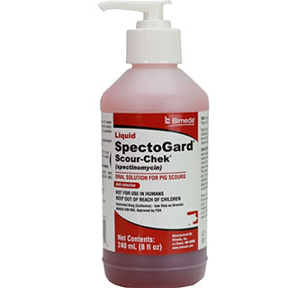 SPECTOGARD® SCOUR-CHEK® 50 MG/ML 240 ML 1/PKG (RX)