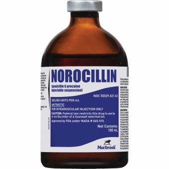 NOROCILLIN® (PENICILLIN G PROCAINE INJECTABLE SUSPENSION) 100 ML 1/PKG (RX)
