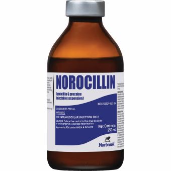 NOROCILLIN® (PENICILLIN G PROCAINE INJECTABLE SUSPENSION) 250 ML 1/PKG (RX)