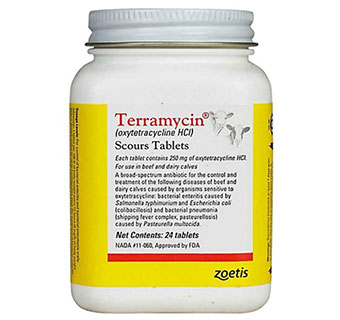 TERRAMYCIN® (OXYTETRACYCLINE HCL) SCOURS TABLETS 250 MG 24/BOTTLE (RX)