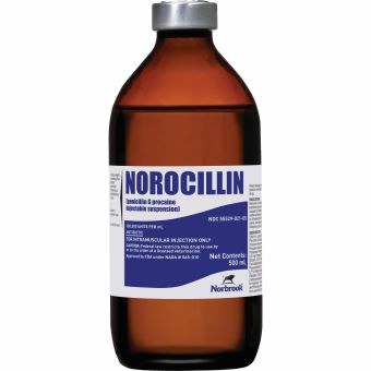 NOROCILLIN® (PENICILLIN G PROCAINE INJECTABLE SUSPENSION) 500 ML 1/PKG (RX)