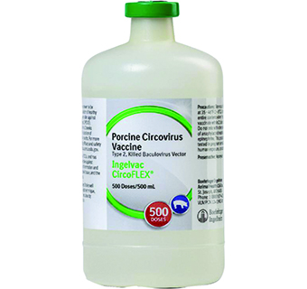 INGELVAC CIRCOFLEX® PORCINE CIRCOVIRUS TYPE 2 (PCV2) VACCINE 500 DOSES/500 ML