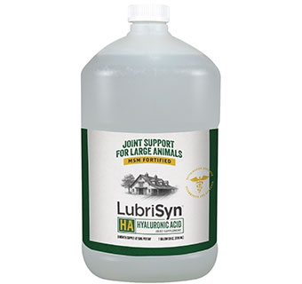 LUBRISYN HA JOINT CARE PLUS MSM LARGE ANIMAL LIQUID 128 OZ W/PUMP 1/PKG