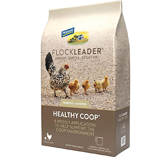 FLOCKLEADER® HEALTHY COOP® 12 LB 1/PKG